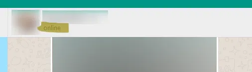 WhatsApp web online status