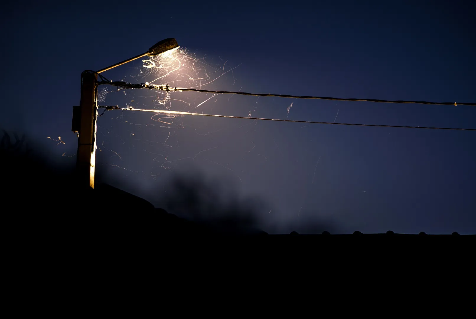 A street lamp at dusk with the flight paths of insects traced around it, stacked from 120 frames