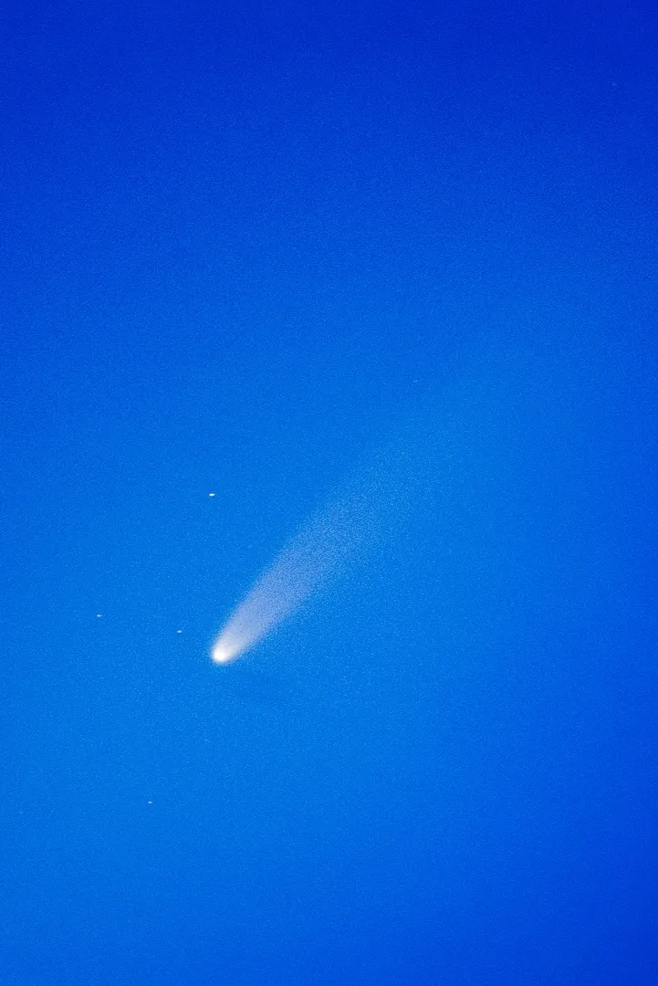Comet NEOWISE and its tail in a deep blue twilight sky