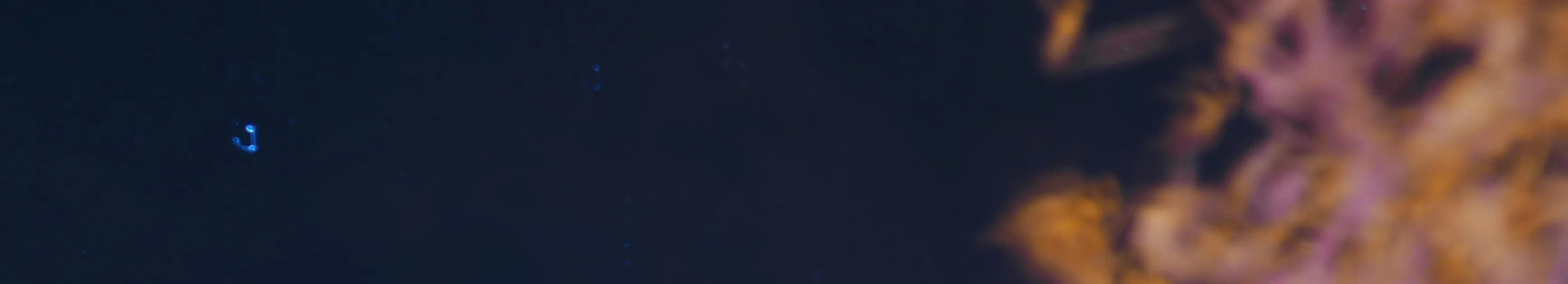 An abstract night frame: a small hook of light in deep blue, with a soft warm blur to one side