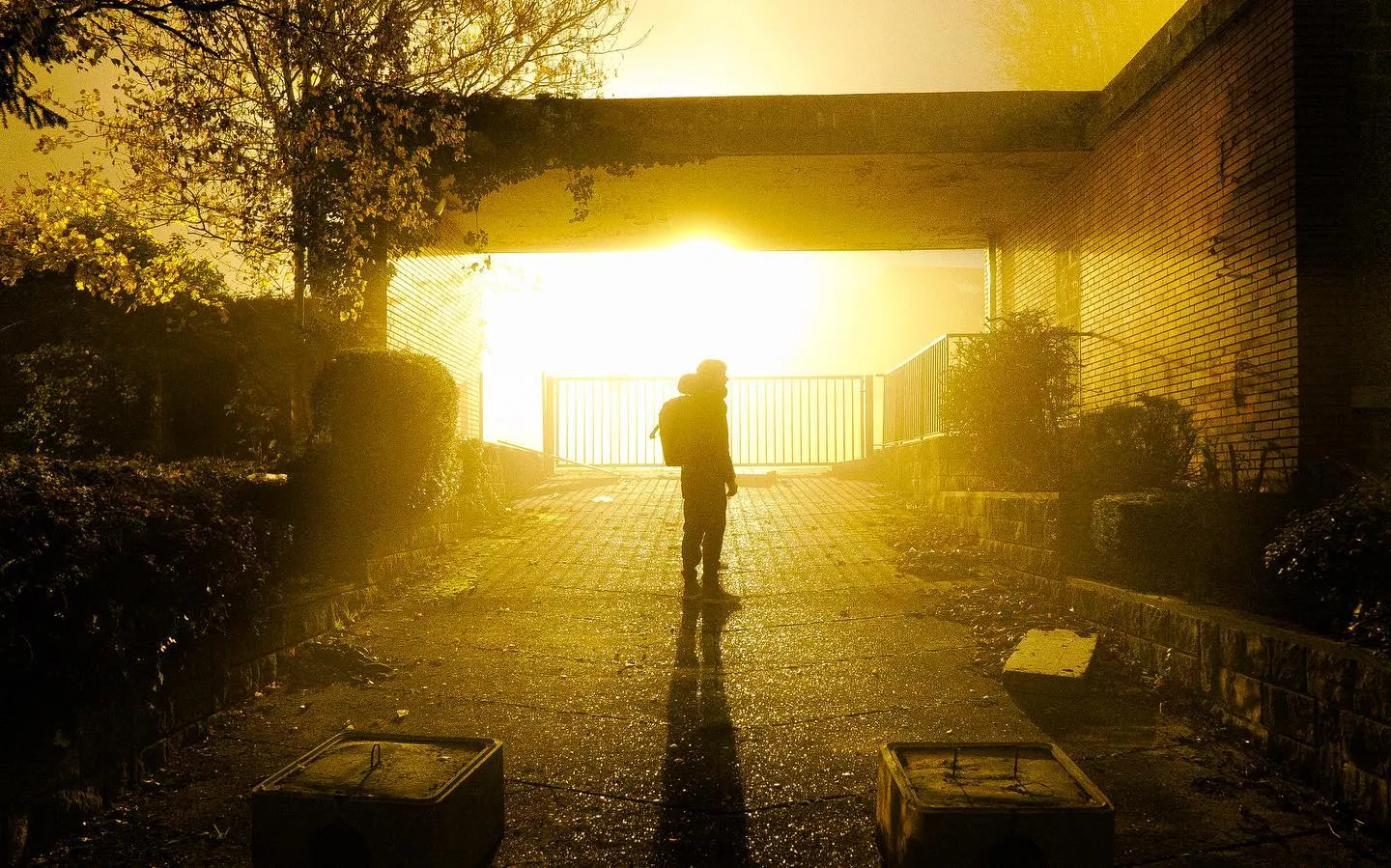 A figure silhouetted in a concrete underpass against blazing golden light