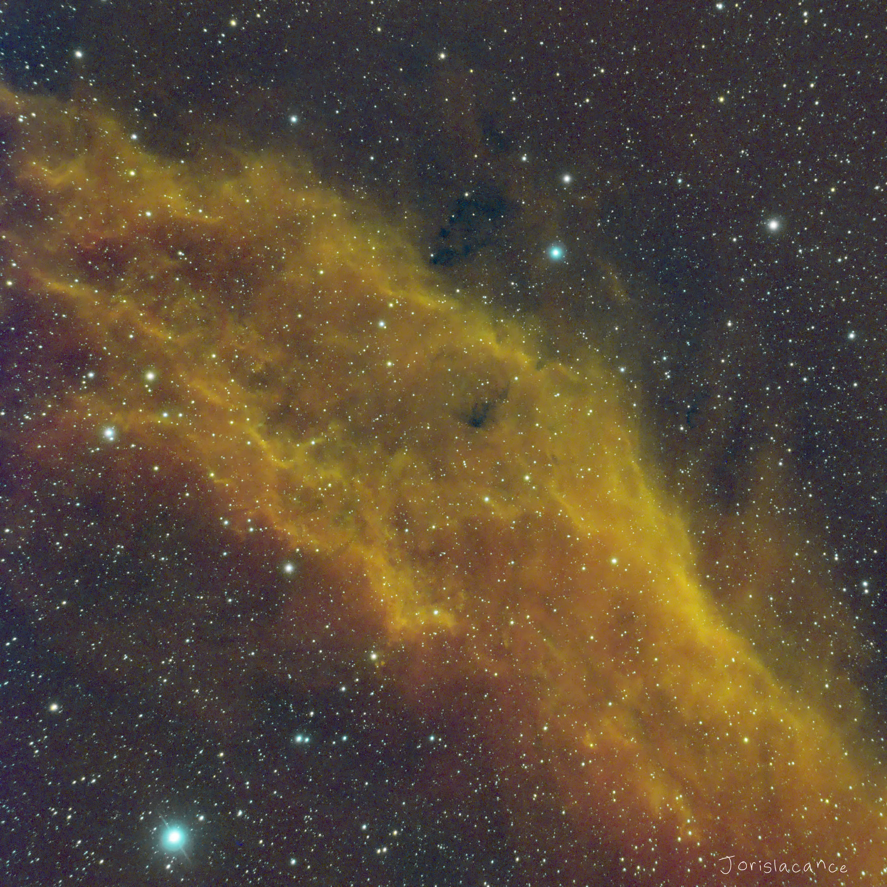 The California Nebula, NGC 1499, in narrowband
